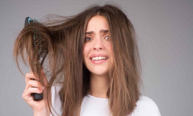 5 shampoos for dry hair to repair the damage this monsoon