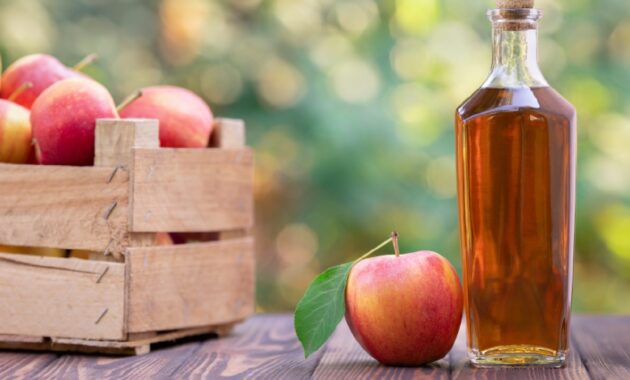 Best apple cider vinegar for weight loss