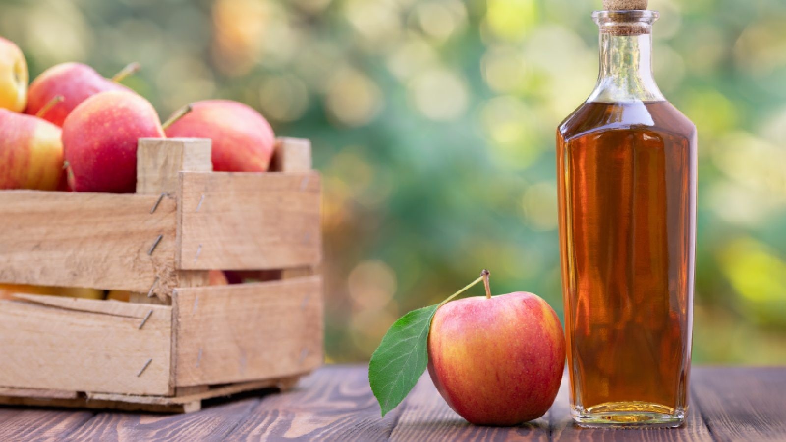 Best apple cider vinegar for weight loss