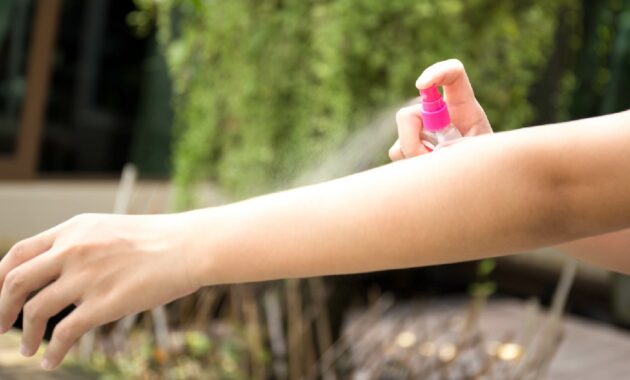 5 best mosquito repellent sprays to protect yourself