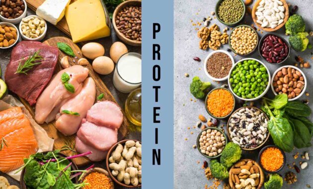 Animal protein vs plant protein: Which is better?