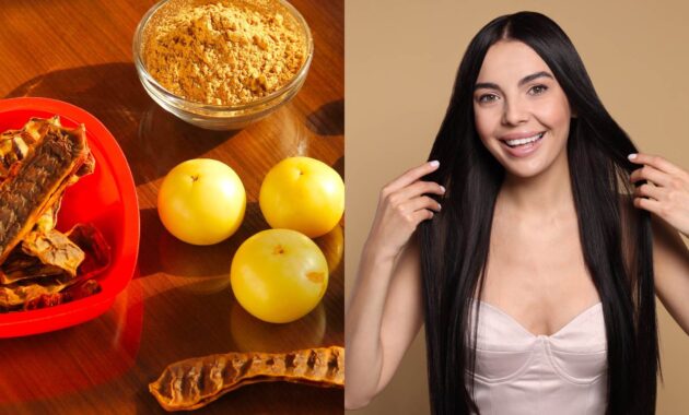 Best amla, reetha and shikakai powders : 5 top picks