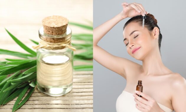 Best tea tree oils for skin: 6 top picks for radiant glow