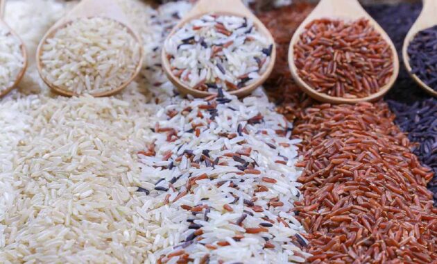 Red vs black vs brown vs white rice: Which one is healthier?