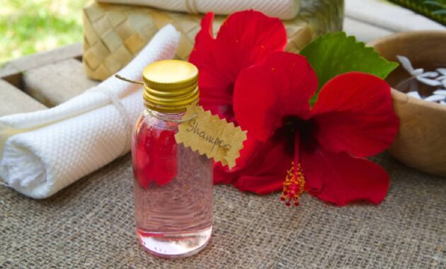 5 best hibiscus shampoo for hair growth