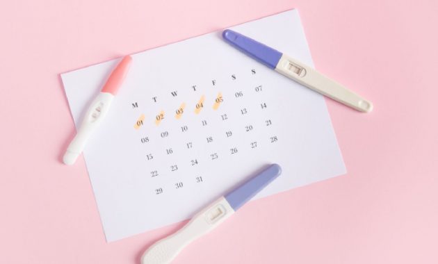 6 best ovulation test kits to monitor peak fertility