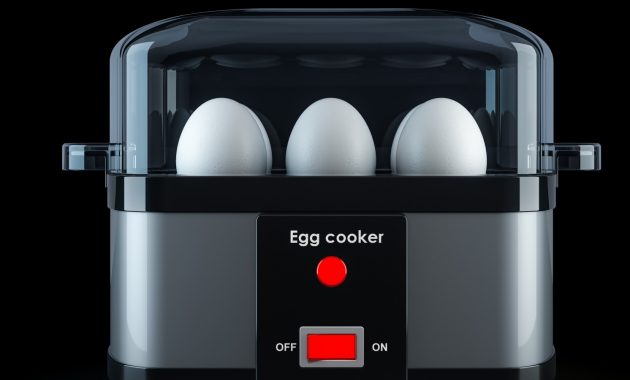 Best egg boiler: Top 6 picks to enjoy perfectly boiled eggs