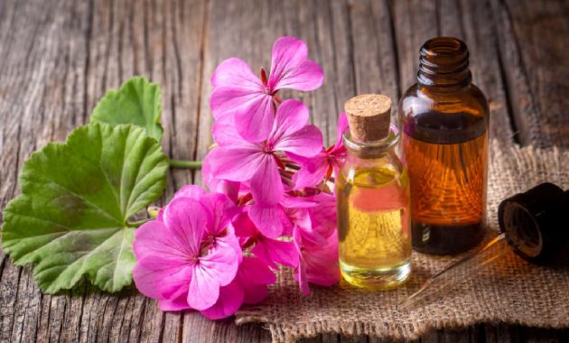 Geranium oil for hair: 5 ways to use it