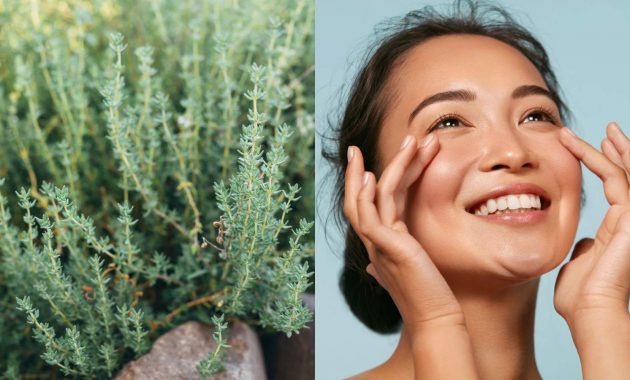 5 benefits of thyme for skin and how to use it