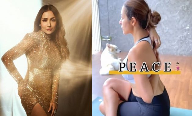 Malaika Arora shares peaceful yoga poses to calm mind