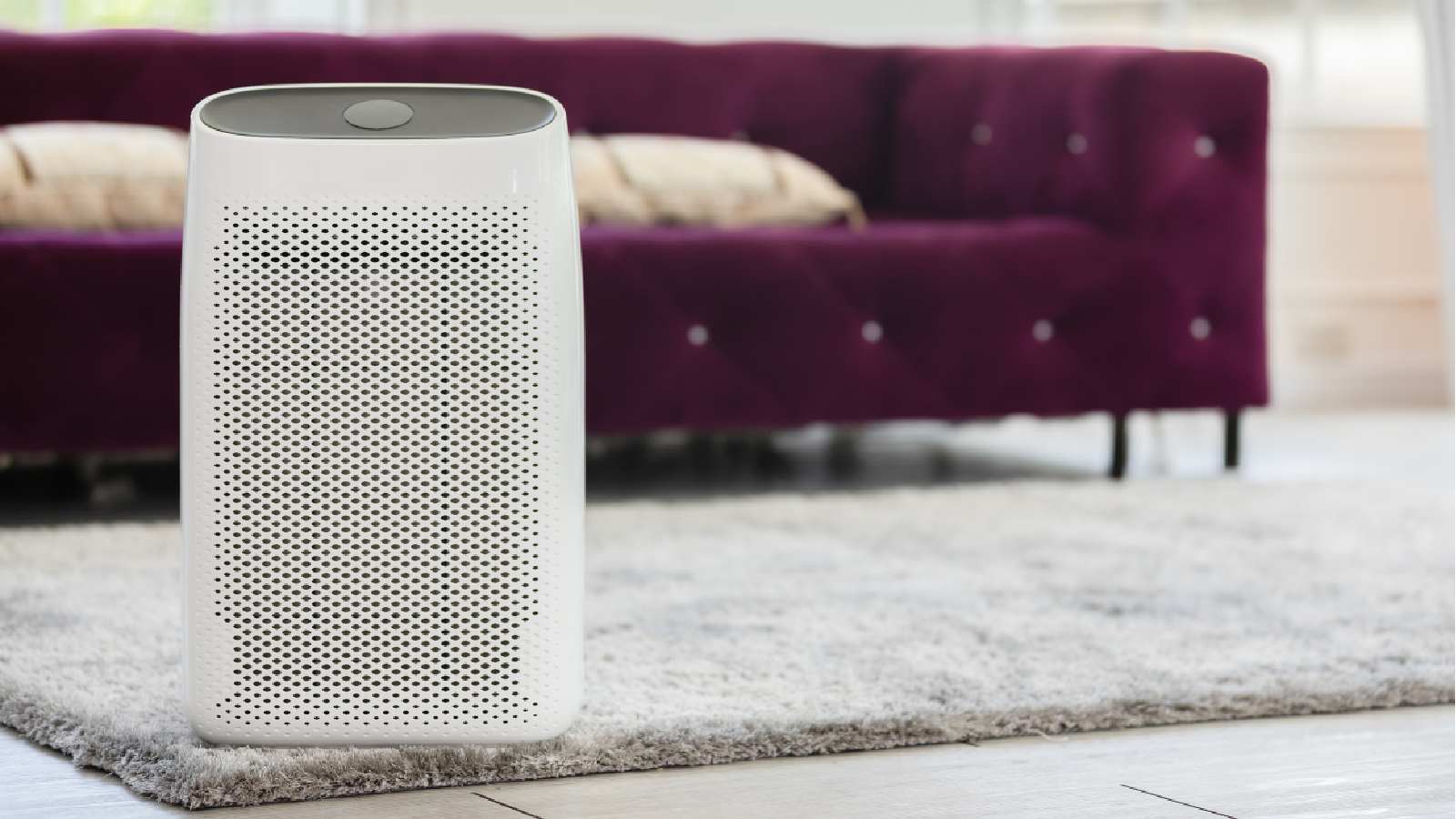 Best Sharp air purifiers: 8 top picks for healthier air