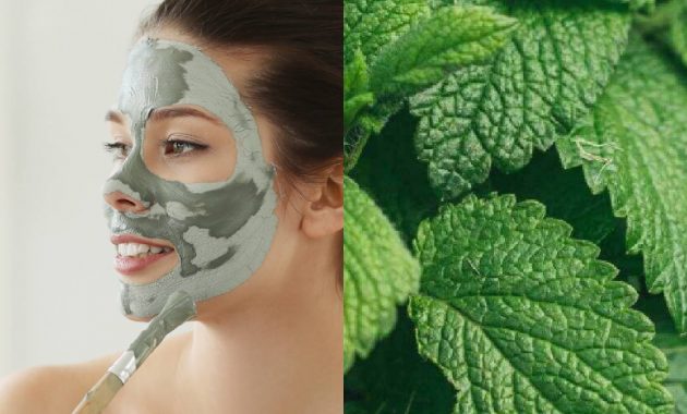 6 benefits of lemon balm for skin