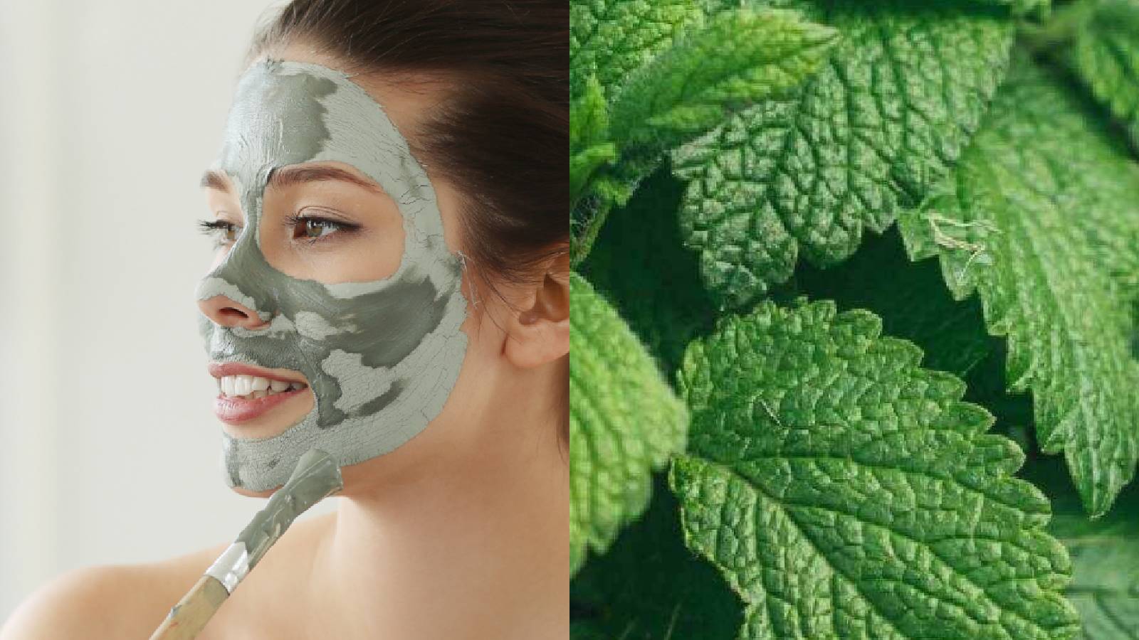 6 benefits of lemon balm for skin